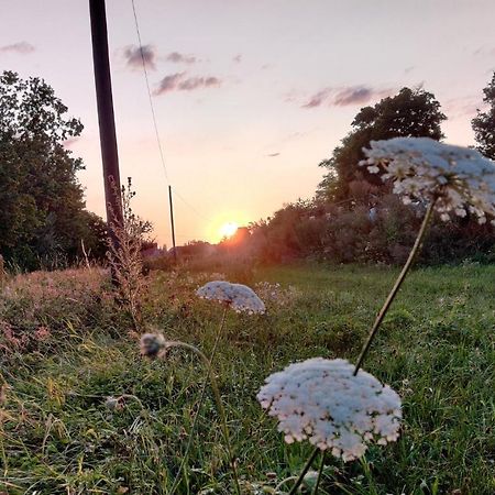 Ferienwohnung Am Hollergraben Oberschwarzach Zewnętrze zdjęcie