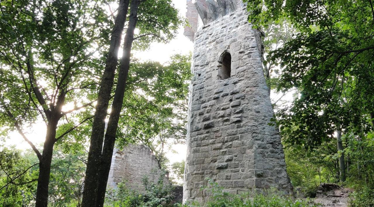 Ferienwohnung Am Hollergraben Oberschwarzach Zewnętrze zdjęcie