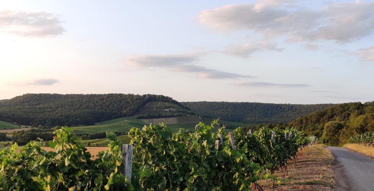 Ferienwohnung Am Hollergraben Oberschwarzach Zewnętrze zdjęcie